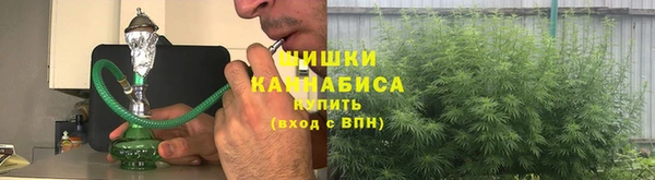 прущие грибы Нефтекумск