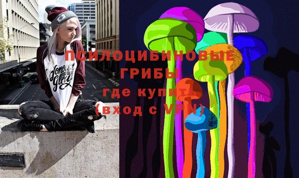 ALPHA-PVP Новозыбков