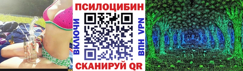 Псилоцибиновые грибы мухоморы  закладка  Опочка 